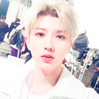 蔡徐坤✨
阿罪の自截
二转注明id
没手别拿