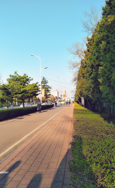 露从今夜白，月是故乡明……