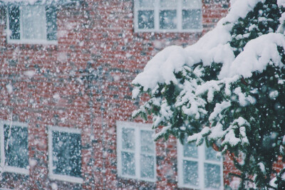 费城大雪