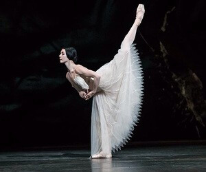 优美舞蹈——芭蕾