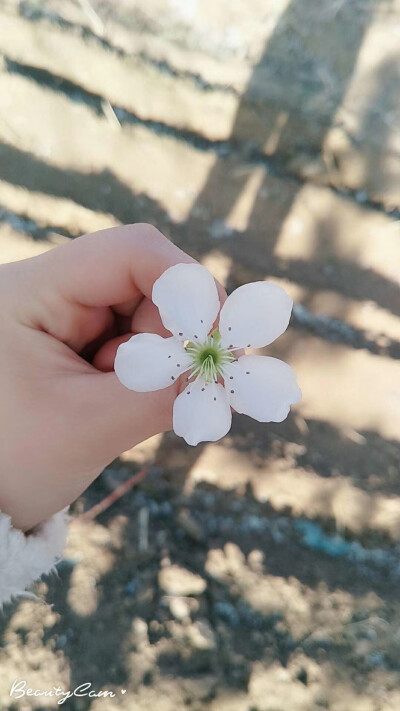 明天或者后天，可能我会慢慢忘记那个人。但现在，还不行。继续努力。偷偷翻了下他微信头像，因为已经删了他，所以看不了朋友圈了。真是贱。