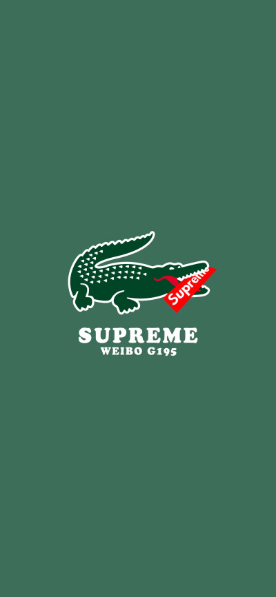 Pidan｜Lacoste × Sup