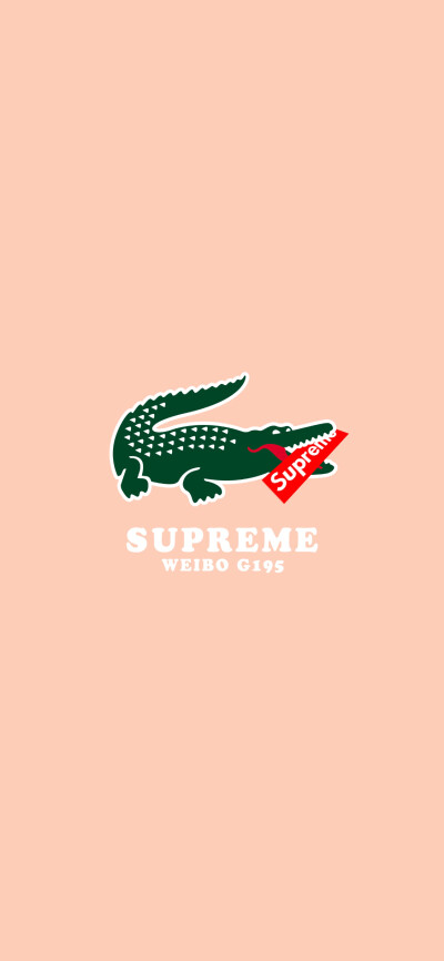 Pidan｜Lacoste × Sup