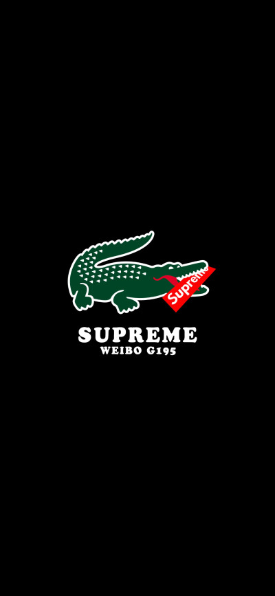 Pidan｜Lacoste × Sup