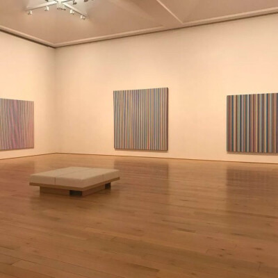 は蛋｜欧普艺术｜英国艺术家Bridget Riley｜日本DIC川村纪念美术馆