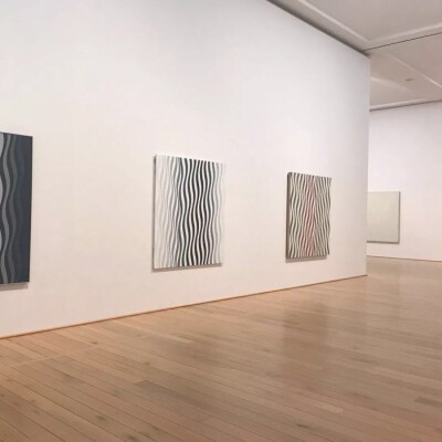 は蛋｜欧普艺术｜英国艺术家Bridget Riley｜日本DIC川村纪念美术馆