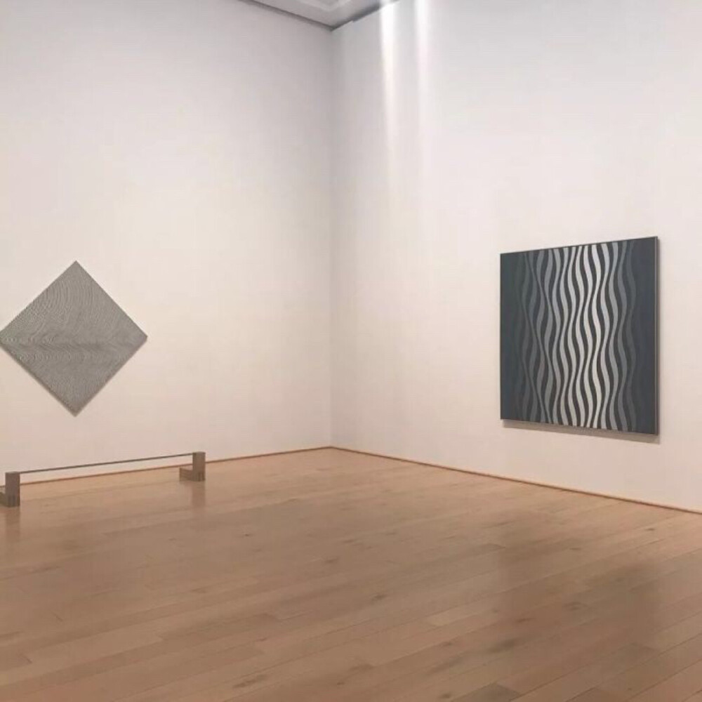 は蛋｜欧普艺术｜英国艺术家Bridget Riley｜日本DIC川村纪念美术馆