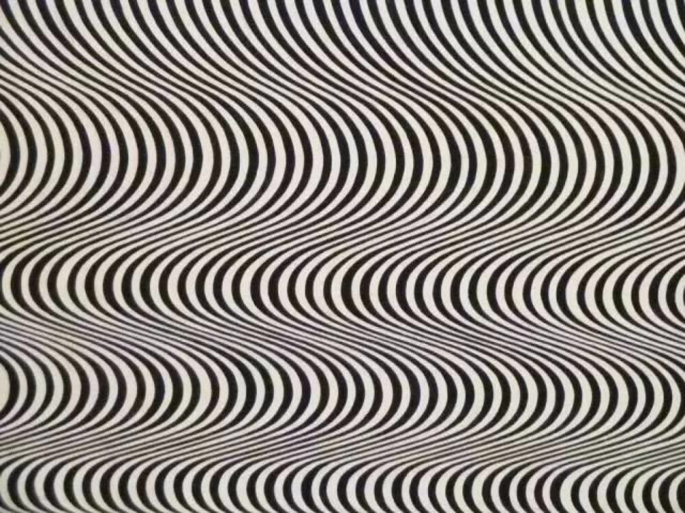 は蛋｜欧普艺术｜英国艺术家Bridget Riley｜日本DIC川村纪念美术馆