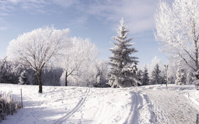 美桌网>壁纸>风景壁纸>精选纯白唯美...
精选纯白唯美雪景高清图片电脑壁纸。白色唯美雪景图片非常适合做壁纸哦。