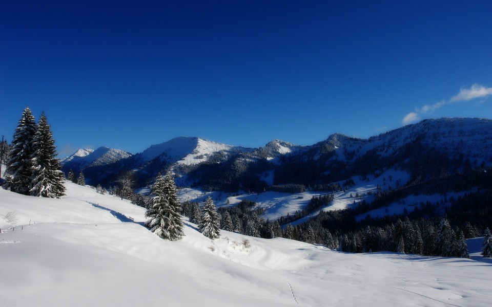 美桌网>壁纸>风景壁纸>精选纯白唯美...
精选纯白唯美雪景高清图片电脑壁纸。白色唯美雪景图片非常适合做壁纸哦。