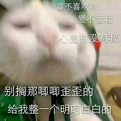 爱不爱我