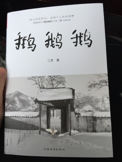 《鹅鹅鹅》二东