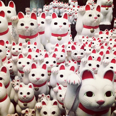 _(:3」∠)_
小猫咪以及小猫咪表情包呀