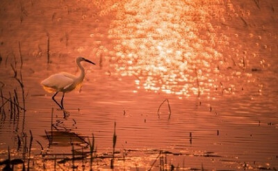 水深水浅东西涧，云去云来远近山。