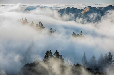 水深水浅东西涧，云去云来远近山。