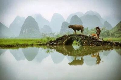 水深水浅东西涧，云去云来远近山。