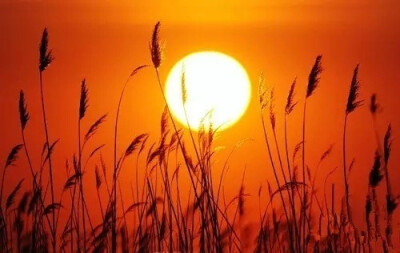 水深水浅东西涧，云去云来远近山。