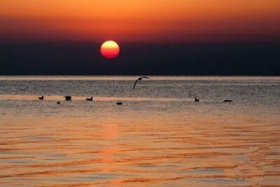 水深水浅东西涧，云去云来远近山。