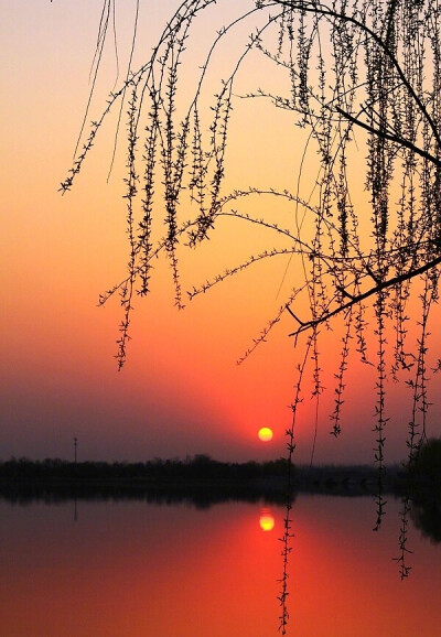 水深水浅东西涧，云去云来远近山。