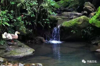 水深水浅东西涧，云去云来远近山。