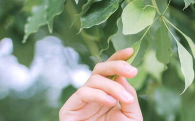 小清新唯美风景图片高清桌面电脑壁纸