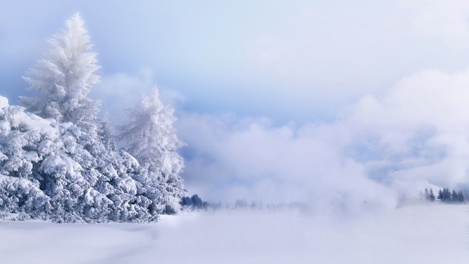 唯美冬季雪景图片高清宽屏桌面壁纸。大地一片雪白，好象整个世界都是银白色的，闪闪发光。想要更多高清桌面壁纸，