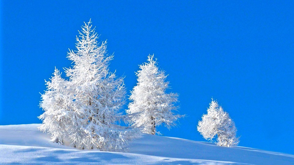 唯美冬季雪景图片高清宽屏桌面壁纸。大地一片雪白，好象整个世界都是银白色的，闪闪发光。想要更多高清桌面壁纸，