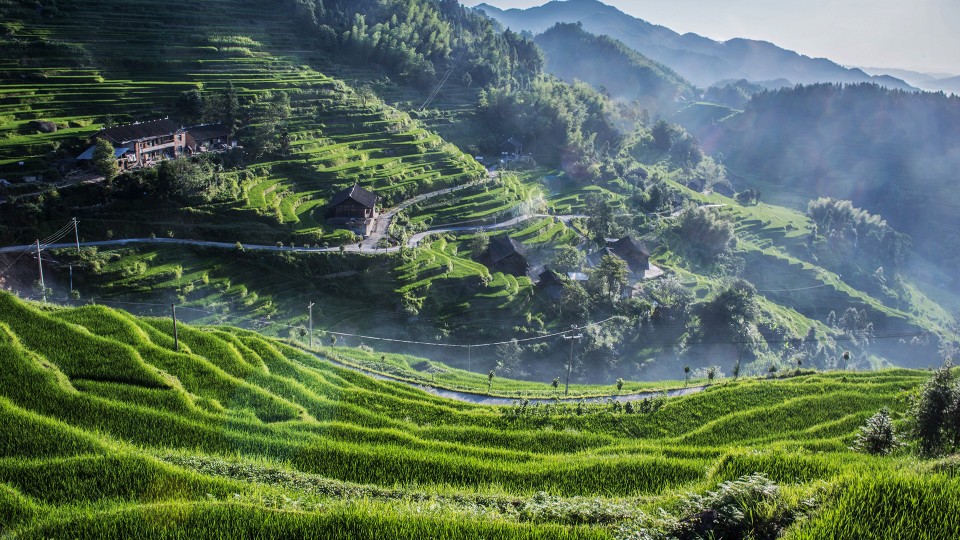 梯田是在丘陵山坡地上沿等高线方向修筑的条状阶台式或波浪式断面的田地。是治理坡耕地水土流失的有效措施，蓄水、保土、增产作用十分显著。