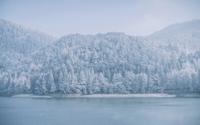 唯美雪景图片高清电脑壁纸，整个画面都是白皑皑的雪景，十分唯美，