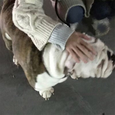 by:训乖 #情侣头像