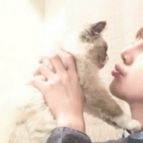 by:训乖 #情侣头像