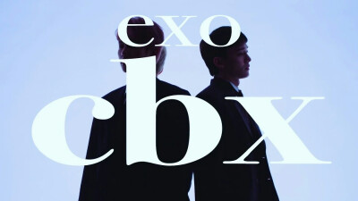 EXO-CBX
呼噜宝hhh