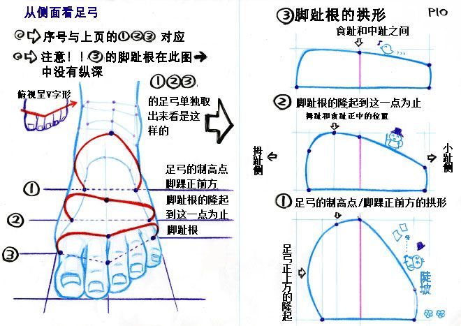 足部画法