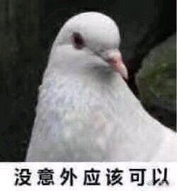 表情包