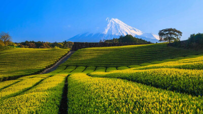 日本富士山唯美风景高清电脑桌面壁纸。富士山是世界上最大的活火山之一。目前处于休眠状态，但地质学家仍然把它列入活火山之类。自781年有文字记载以来，共喷发了18次，最后一次喷发是在1707年，此后休眠至今。