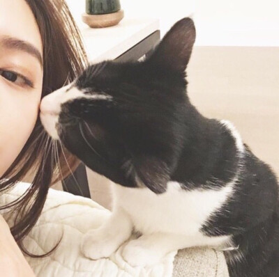 _(:3」∠)_
小猫咪以及小猫咪表情包呀