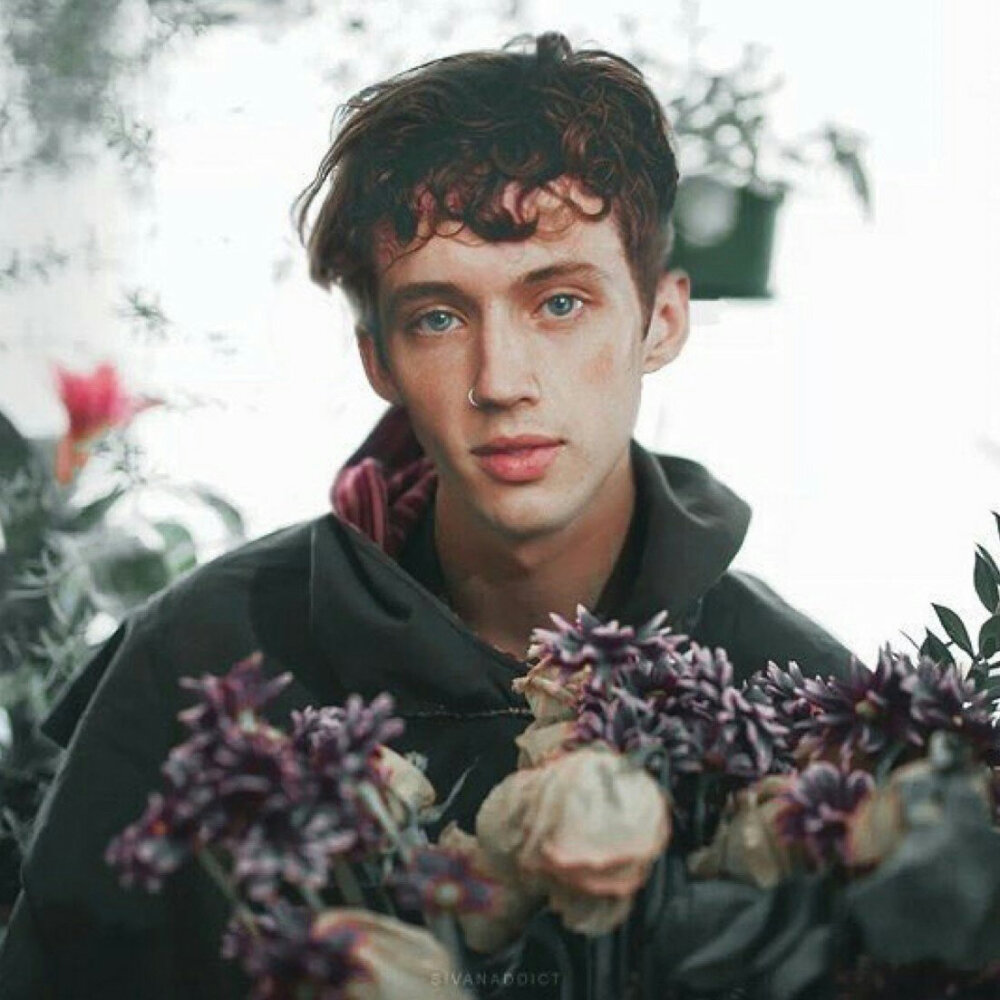 Troye