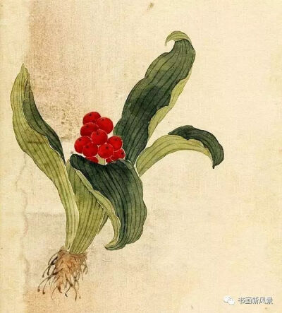  缪谷瑛(1875-1954)，现代国画家。曾任教于上海仓圣明智大学，为国画教师，当时“爱俪园”中名菊甚众，缪谷瑛课余必往写生。缪谷瑛工画花卉，最擅写菊，极得秋色晚香之盛。经历年积累，笔下所绘之菊达三百余种，时…