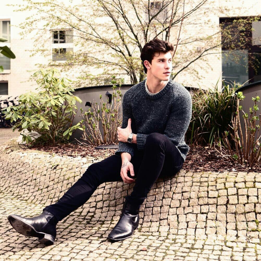 shawnmendes