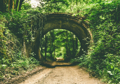 General 4277x3001 nature trees path tunnel forest