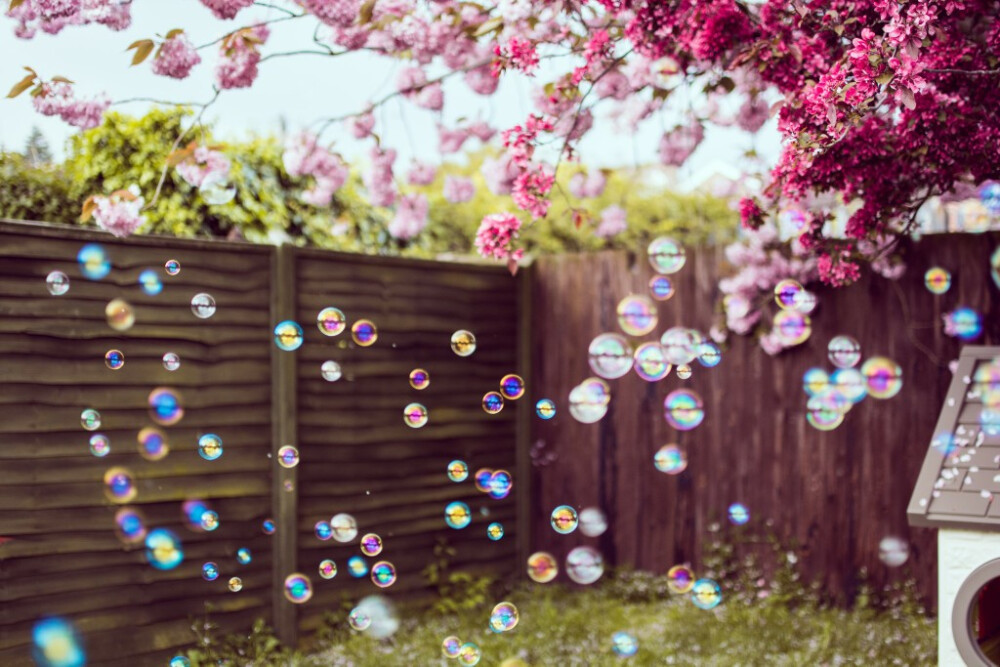 General 2048x1365 bubbles trees