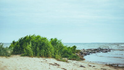 General 1366x768 beach