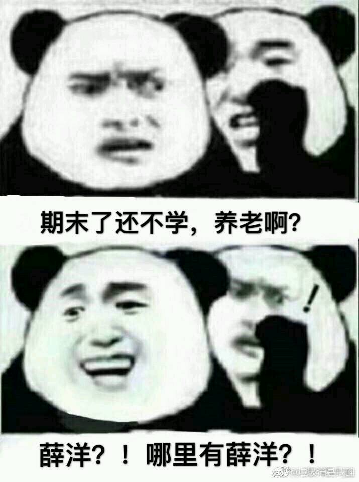 薛洋