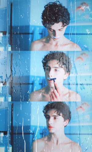提莫西·查拉梅Timothée Chalamet（甜茶）