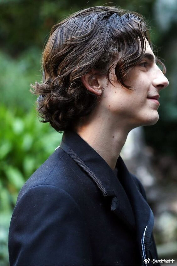 提莫西·查拉梅Timothée Chalamet（甜茶）