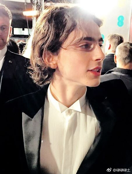 提莫西·查拉梅Timothée Chalamet（甜茶）