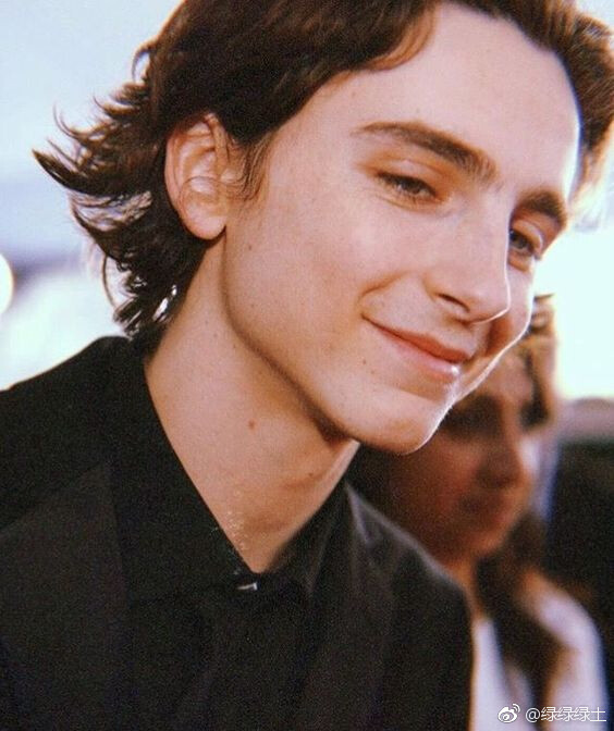 提莫西·查拉梅Timothée Chalamet（甜茶）