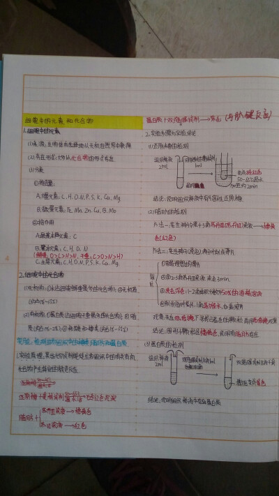 生物必修一笔记