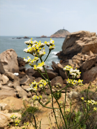 海岛小岞