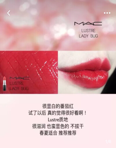 MAC lady bug